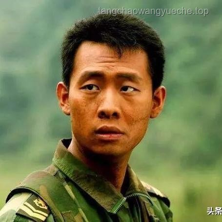 张译官宣息影背后的趣谈：明星与撸猫文化的交融